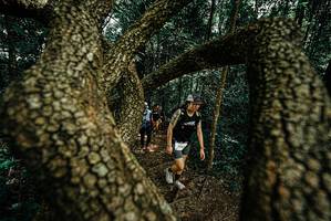 BIB: 
                            <button type="button" onclick="openModal(25701299)" class="btn btn-primary btn-sm float-right btn-popup" data-toggle="modal" data-target=".modal-high-quality">
                        <i class="fas fa-shopping-cart"></i> Add to Cart
                    </button>
                                            <button type="button" onclick="isThisMe(25701299, true)" class="btn btn-success btn-sm float-right btn-popup btn-isme hidden" data-toggle="tooltip" data-placement="bottom" title="นี่คือรูปของคุณใช่ไหม คลิกที่นี่เพื่อเอาเข้าอัลบั้ม">
                        <i class="fas fa-plus"></i> Add to album
                    </button>
                    <button type="button" onclick="isThisMe(25701299, false)" class="btn btn-warning btn-sm float-right btn-popup btn-isnotme hidden">
                        <i class="fas fa-ban"></i> Remove from album
                    </button>